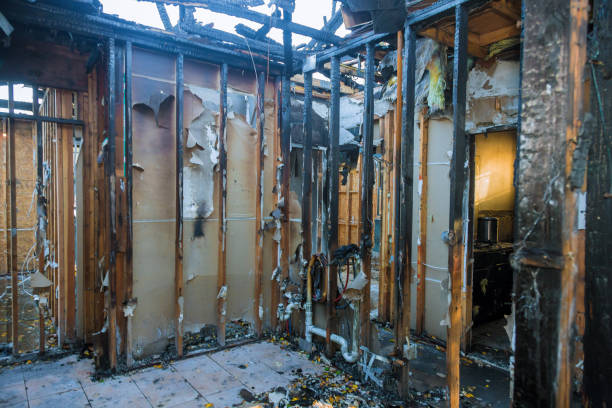 Professional Smoke Damage Removal technician working in Springtown, TX
